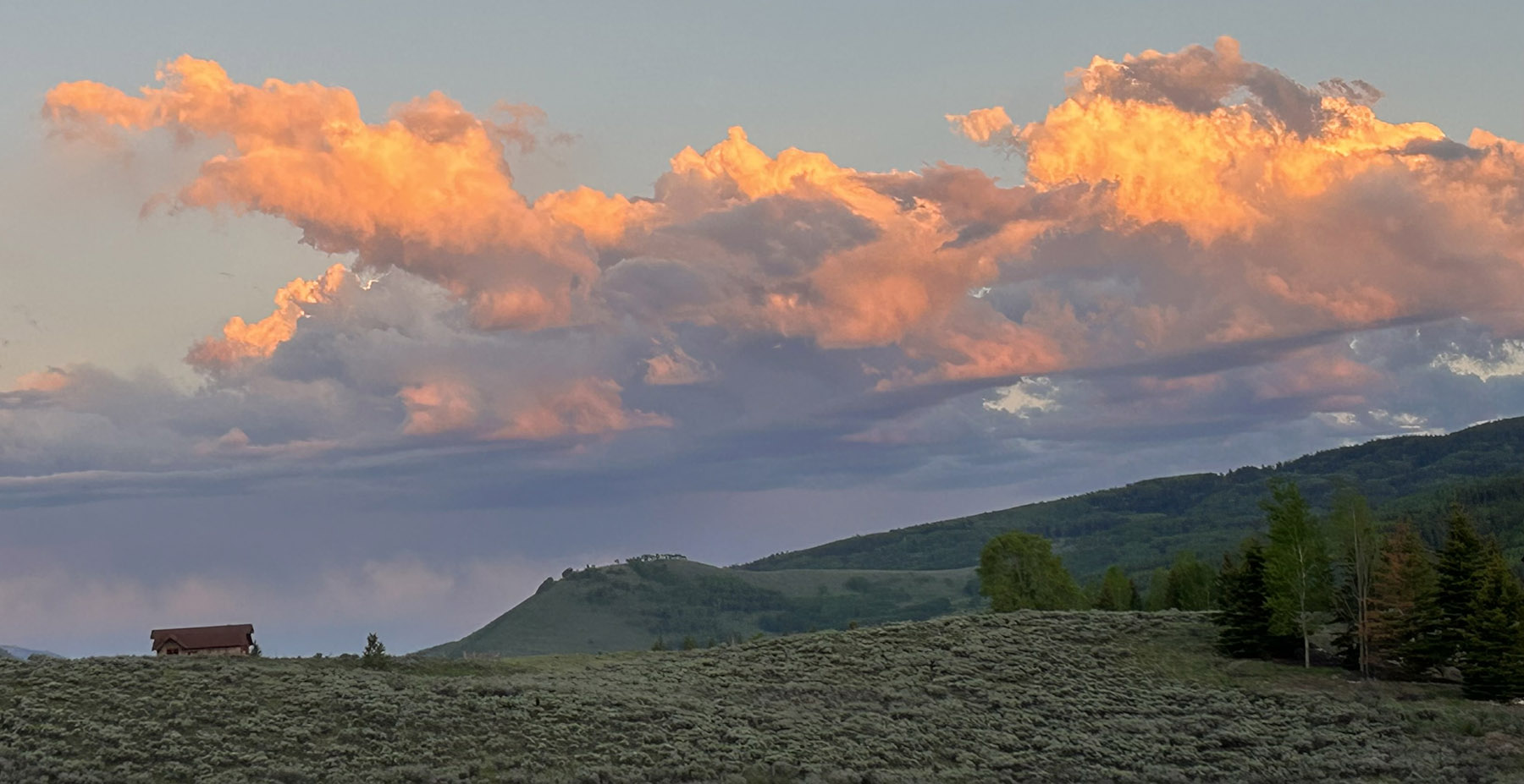 New Mexico landscape